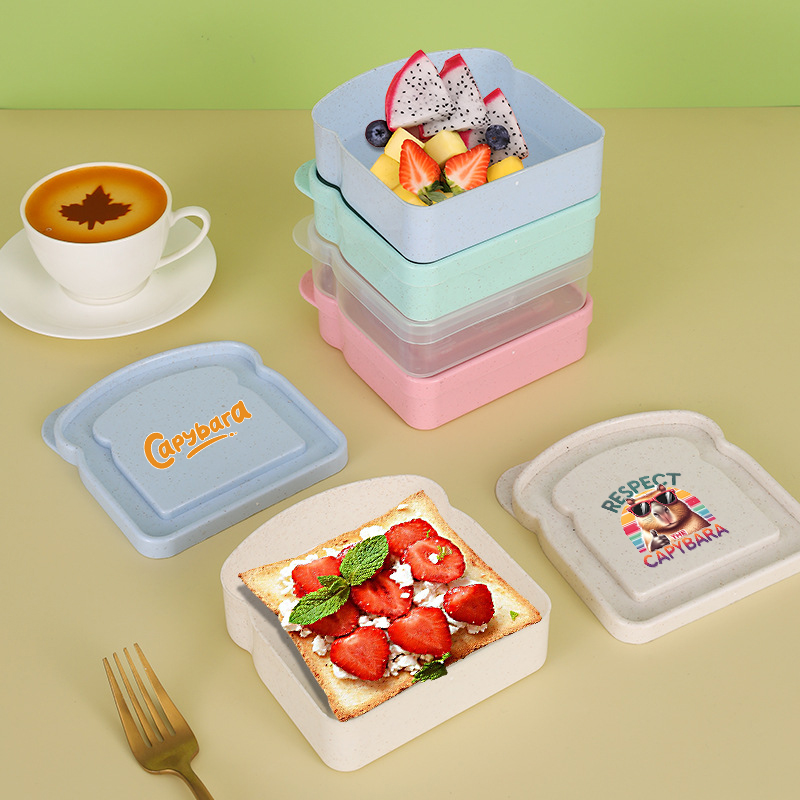 Capybara Sandwich-Aufbewahrung – Food Storage Box Plastic Bewertung und Preis