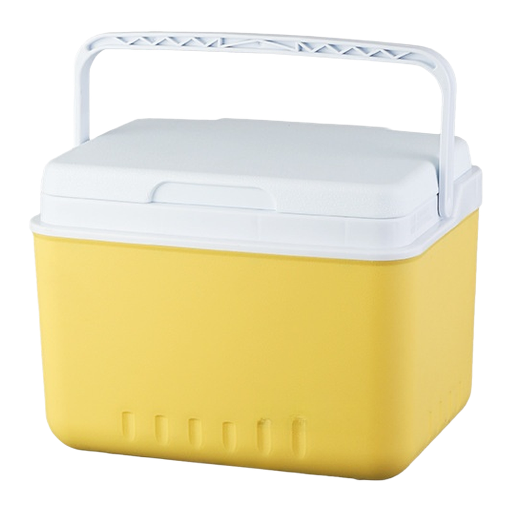 Tragbare 6L 15L Isolierkühlbox – Food Storage Camping Bewertung und Preis
