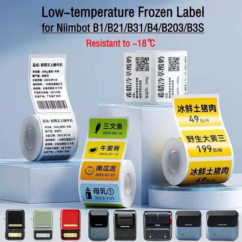 NIIMBOT B1/B2/B21/B31/B4/B203/ – Food Storage Temperature Bewertung und Preis