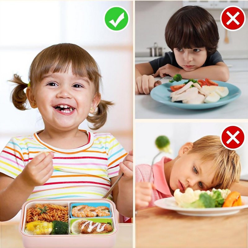 8 Stück Silikon-Lunchbox-Trenn – Food Storage Heat Bewertung und Preis