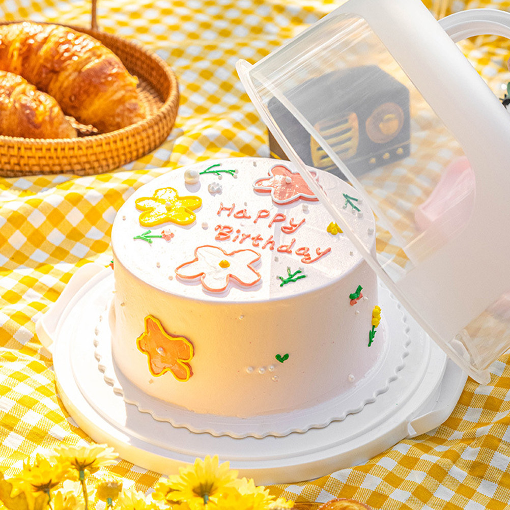 Kuchen-Aufbewahrungsbox, 10 Zo – Food Storage Box Plastic Bewertung und Preis